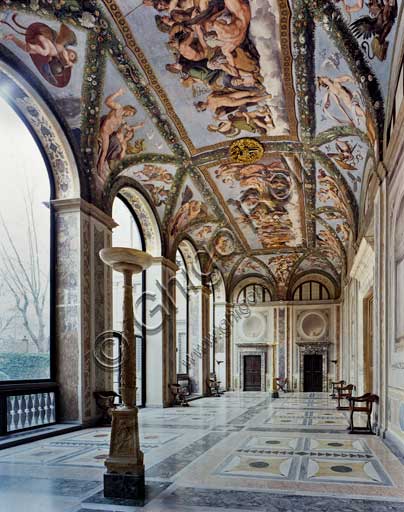 Roma, Villa Farnesina: Veduta della Loggia di Amore e Psiche.Nella loggia è dipinto il ciclo con le Storie di Amore e Psiche, tratte da Apuleio, opera di Raffaello e dei suoi allievi (Raffaellino del Colle, Giovan Francesco Penni, Giulio Romano, 1517-1518), in cui le scene sono inserite in un intreccio di festoni vegetali, opera dell'altro allievo Giovanni da Udine. Gli affreschi vennero sicuramente disegnati da Raffaello, ma la stesura spetta soprattutto alla sua scuola. La presenza degli intrecci vegetali accresce il senso di continuum della loggia con il giardino; vi sono riconoscibili la bellezza di circa duecento specie botaniche, soprattutto domestiche, tra cui anche numerose piante importate dalle Americhe, scoperte solo pochi anni prima.Al centro del complesso sistema figurativo spiccano le grandi rappresentazioni del Concilio degli dei e del Convito nuziale, tra finti arazzi tesi tra festoni. Nei peducci si trovano i vari episodi delle Storie di Amore e Psiche. Nelle vele sopra le lunette putti con gli attributi delle varie divinità.Le peripezie di Psiche ripercorrono la medesima travagliata salita sociale di Francesca Ordeaschi, amante di Agostino Chigi, che da cortigiana si elevò al rango di moglie legittima del banchiere.