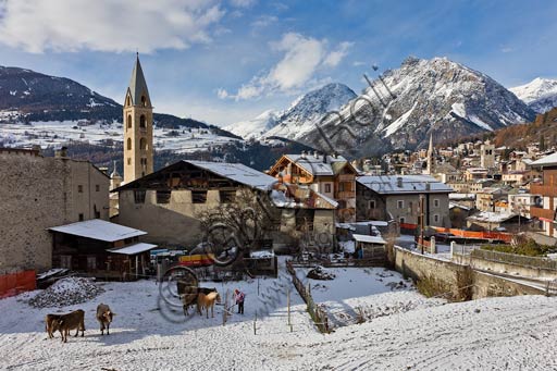 Scorcio di Combo. Sullo sfondo a destra, il centro di Bormio.