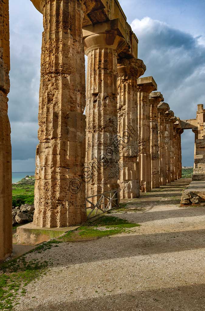 Selinunte, Parco Archeologico di Selinunte e Cave di Cusa: veduta del Tempio E (Tempio di Hera). Particolare.