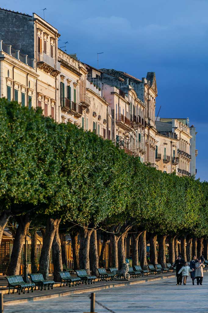 Syracuse, Island of Ortigia: view of the Vittorio Emanuele ii Forum.