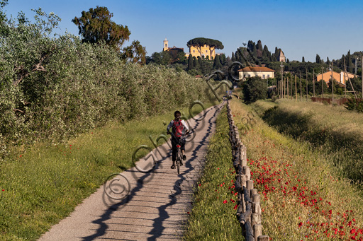 Parco Regionale della Maremma: cicloturismo lungo la ciclabile di Alberese. Sullo sfondo, la "Tenuta di Alberese", azienda agricola della Regione Toscana.