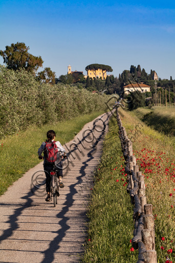 Parco Regionale della Maremma: cicloturismo lungo la ciclabile di Alberese. Sullo sfondo, la "Tenuta di Alberese", azienda agricola della Regione Toscana.