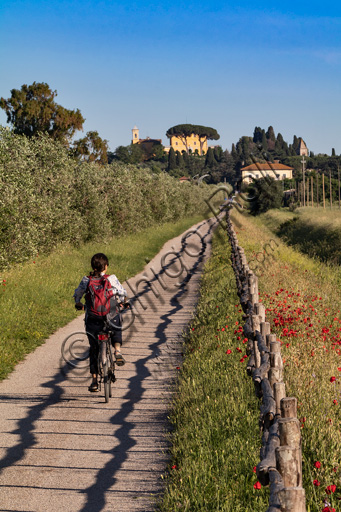 Regional Park of Maremma,