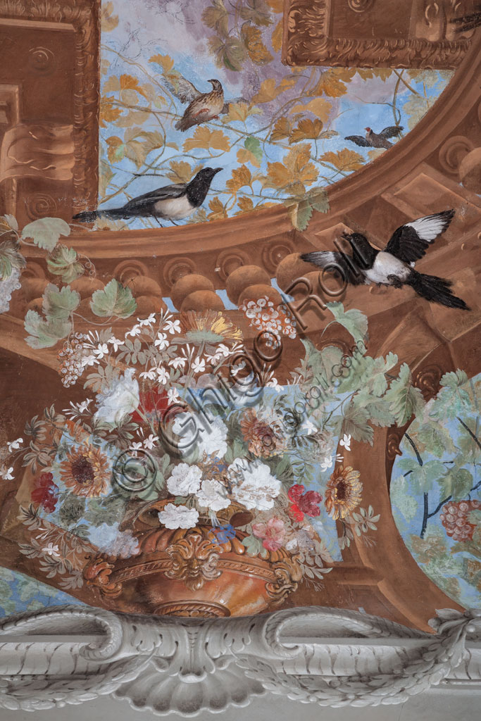 Sassuolo, Palazzo Ducale Estense, Galleria di Bacco, soffitto: dipinto murale a tempera di Jean Boulanger, 1650 - 52.  Particolare con tralci di vite, grappoli, fiori e uccelli.