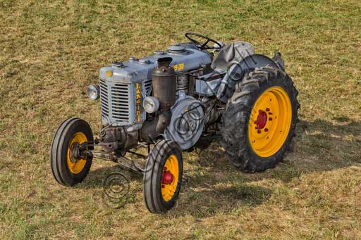 Old Tractor.Make: LandiniModel: L25/30Year: 1956Fuel: Diesel oilNumber of Cylinders:Displacement: 4.000 - 5.000 cc ?Horse Power: 25 HP at the wheel and 30 HP  at the PTO (Power Take-Off)Characteristics: