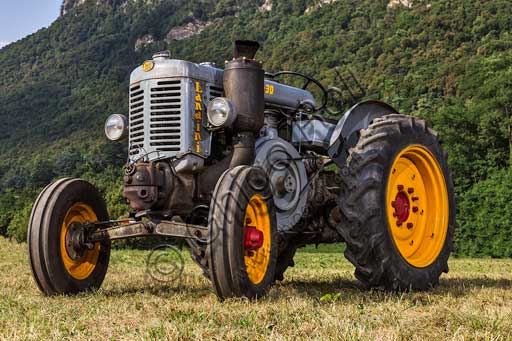Old Tractor.Make: LandiniModel: L25/30Year: 1956Fuel: Diesel oilNumber of Cylinders:Displacement: 4.000 - 5.000 cc ?Horse Power: 25 HP at the wheel and 30 HP  at the PTO (Power Take-Off)Characteristics:
