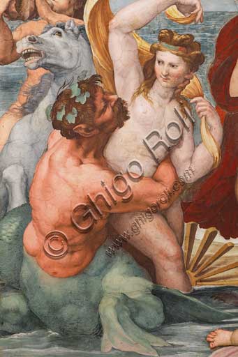 Roma, Villa Farnesina, Loggia di Galatea: "Il trionfo di Galatea", affresco di Raffaello (1513 - 1514). Particolare.La ninfa è trasportata sull'acqua in un cocchio formato da una conchiglia trainata da delfini e intorno una festa di tritoni, amorini e nereidi.Particolare.