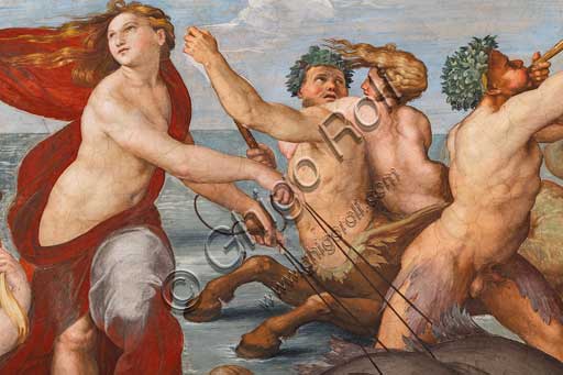 Roma, Villa Farnesina, Loggia di Galatea: "Il trionfo di Galatea", affresco di Raffaello (1513 - 1514). Particolare.La ninfa è trasportata sull'acqua in un cocchio formato da una conchiglia trainata da delfini e intorno una festa di tritoni, amorini e nereidi.Particolare.