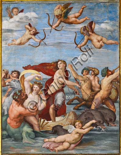 Roma, Villa Farnesina, Loggia di Galatea: "Il trionfo di Galatea", affresco di Raffaello (1513 - 1514).La ninfa è trasportata sull'acqua in un cocchio formato da una conchiglia trainata da delfini e intorno una festa di tritoni, amorini e nereidi.