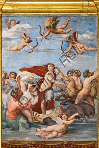 Roma, Villa Farnesina, Loggia di Galatea: "Il trionfo di Galatea", affresco di Raffaello (1513 - 1514).La ninfa è trasportata sull'acqua in un cocchio formato da una conchiglia trainata da delfini e intorno una festa di tritoni, amorini e nereidi.