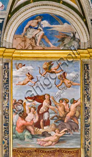 Rome, Villa Farnesina, the Loggia of Galatea:  "The Triumph of Galatea", by Raphael (1513 - 4). Galatea was the beautiful nymph whom Raphael depicted amongst a throng of sea creatures as she speeds away from her admirer on a fantastical shell drawn by dolphins.In the upper lunette: Juno on a charriot pulled by peacocks. Fresco by Sebastiano del Piombo (1511-12).
