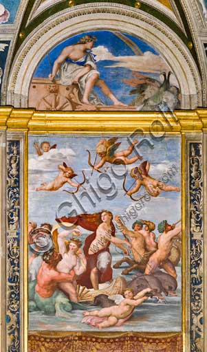 Roma, Villa Farnesina, Loggia di Galatea: "Il trionfo di Galatea", affresco di Raffaello (1513 - 1514).La ninfa è trasportata sull'acqua in un cocchio formato da una conchiglia trainata da delfini e intorno una festa di tritoni, amorini e nereidi.Nella lunetta in alto: Giunone sul carro trainato da pavoni, affresco di Sebastiano del Piombo (1511-12).