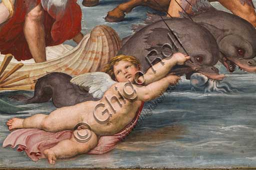 Roma, Villa Farnesina, Loggia di Galatea: "Il trionfo di Galatea", affresco di Raffaello (1513 - 1514). Particolare.La ninfa è trasportata sull'acqua in un cocchio formato da una conchiglia trainata da delfini e intorno una festa di tritoni, amorini e nereidi.Particolare con amorini.