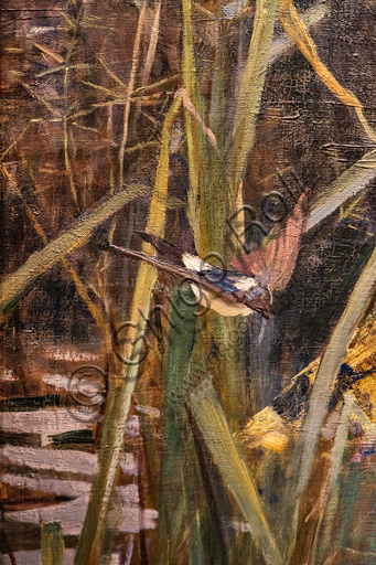 "La Dama di Shalott", 1888 di John William Waterhouse  (1849 - 1917); olio su tela. Fonte ispiratrice è l'omonimo poema di Alfred Tennyson. Particolare con uccello.