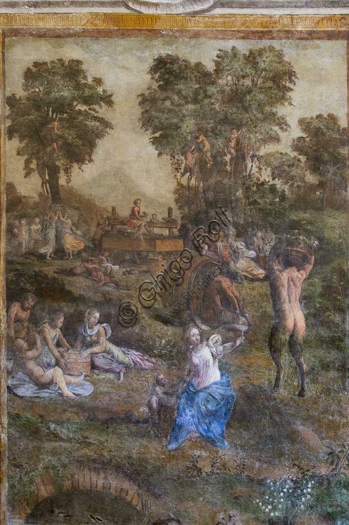 Ferrara, Castello Estense, detto anche Castello di San Michele, Camerino dei Baccanali, voluto da Alfonso d'Este: "Vendemmia", affresco ad olio di tema bacchico, della bottega dei Filippi.