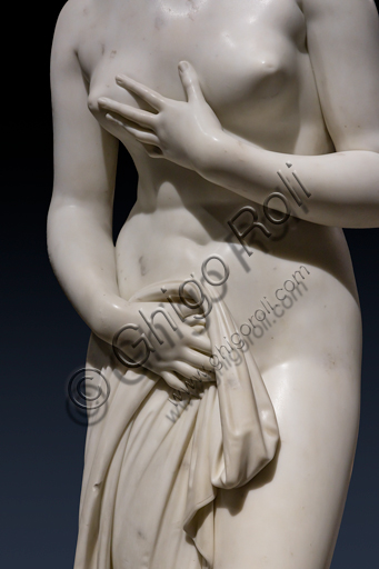  "Venus", 1817-20, by Antonio Canova (1757 - 1822), marble statue. Detail.