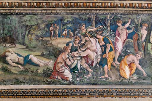 Rome, Villa Farnesina, The Hall of Perspectives: the ample frieze with mythological scenes inspired by the Ovid  Metamorphoses.  Detail with Venus and  Adonis. She is removing a thorn from her foot while Adonis is lying dead, killed by a wild boar. Frescoes by Baldassarre Peruzzi (1517-8).