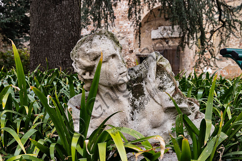 Vicenza: bust of a statue in the courtyard of the Olympic Theatre.