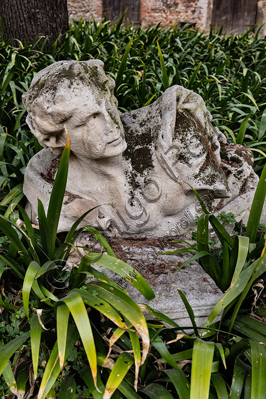 Vicenza:  busto di scultura nel cortile del Teatro Olimpico.